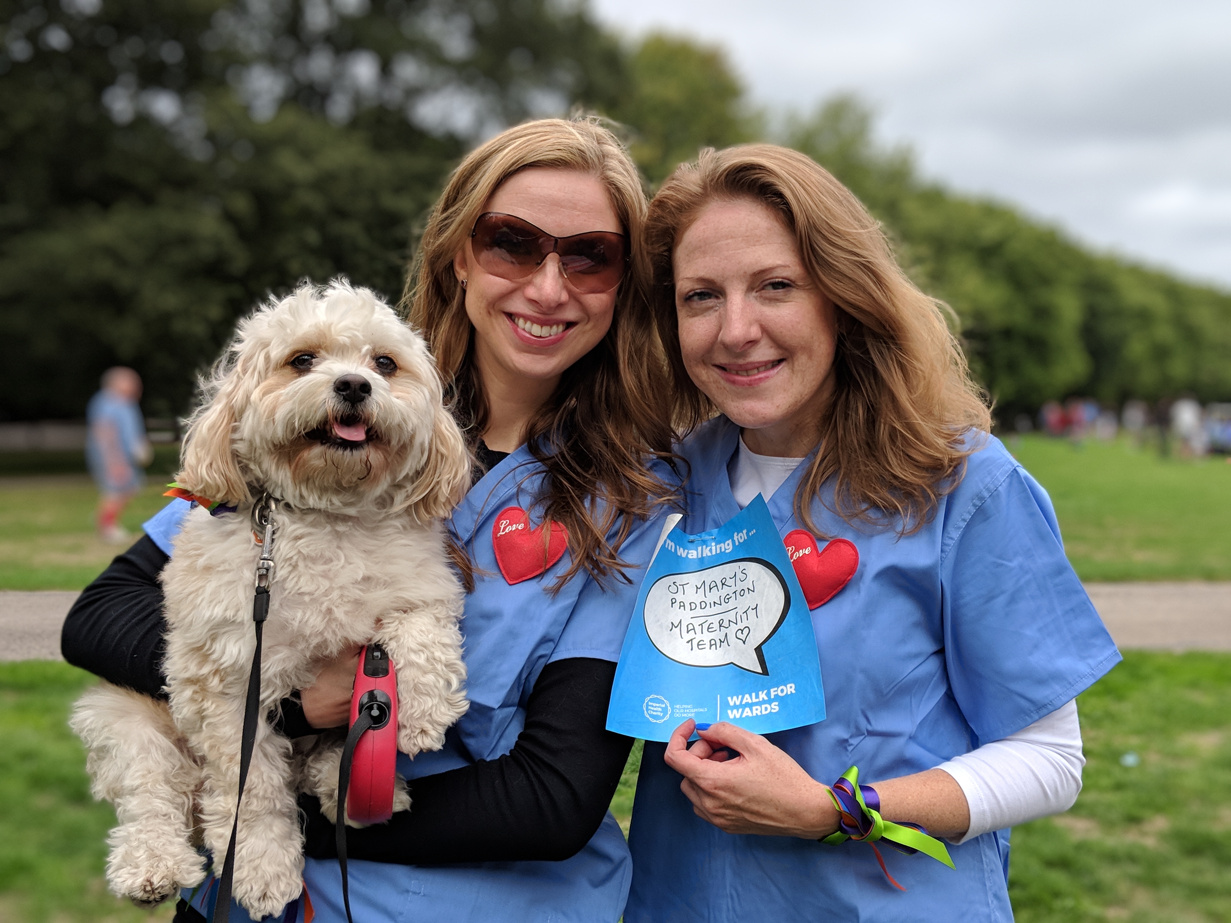Walk for Wards 2019